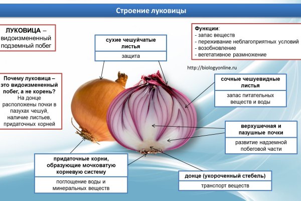 Кракен сайт 18