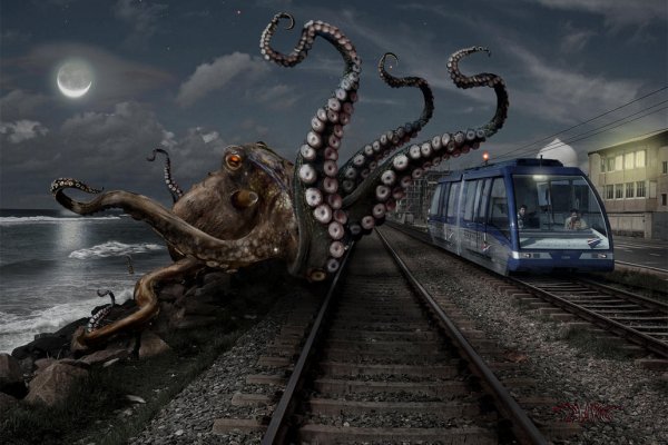 Kraken onion вход