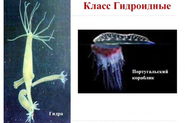 Кракен маркет даркнет speed up