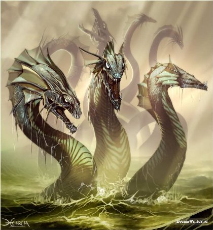 Kraken forum